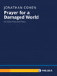 Prayer for a Damaged World Bass Flute and Piano cover